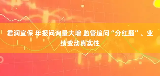 君润宜保 年报问询量大增 监管追问“分红题”、业绩变动真实性