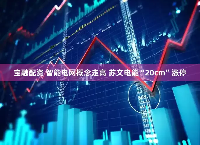 宝融配资 智能电网概念走高 苏文电能“20cm”涨停