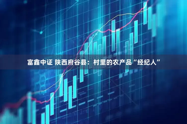 富鑫中证 陕西府谷县：村里的农产品“经纪人”