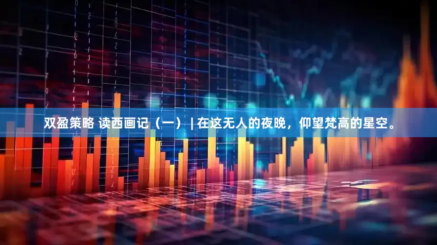 双盈策略 读西画记（一） | 在这无人的夜晚，仰望梵高的星空。